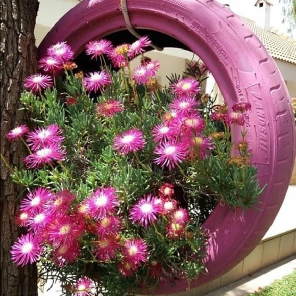 Pretty! 👒 - Picture 5 of 6